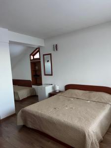 a bedroom with a large bed and a window at Hotel Daffi in Smolyan