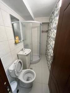 a small bathroom with a toilet and a shower at Solaria Studio in Galaţi