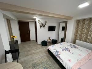 a bedroom with a bed and a tv in a room at Solaria Studio in Galaţi