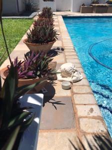 a swimming pool with two potted plants next to it at Guesthouse MALAGUETA INN II in Maputo