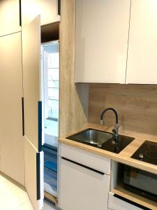 a kitchen with a sink and a refrigerator at Green Side Studio in Michalovce