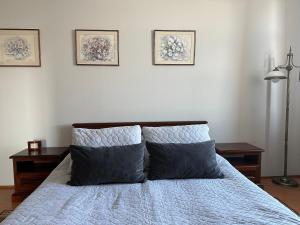 Postel nebo postele na pokoji v ubytování apartament Mysłowice