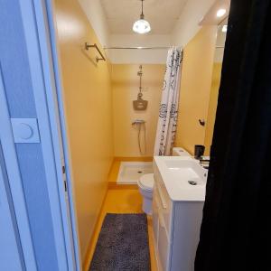 La salle de bains est pourvue de toilettes et d'un lavabo. dans l'établissement Bel appartement « Les Monts du Cantal », à Murat
