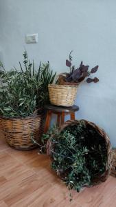 two baskets and a table with plants in them at Las Lajas, Casa Rural in Montejaque