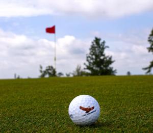 una pelota de golf sentada en un campo con una bandera roja en XLg Porch Deluxe glamping tents @ Lake Guntersville State Park, en Guntersville