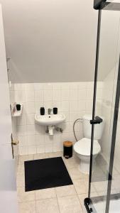 a bathroom with a toilet and a sink at Penzion u přehrady in Štěchovice