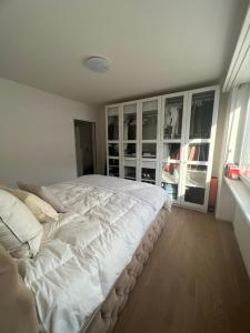 A bed or beds in a room at Best located & fully equipped apartment at Basel SBB main station