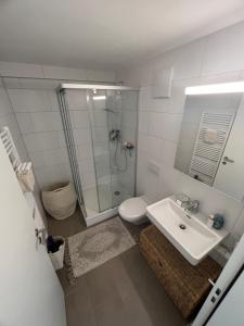 y baño con ducha, lavabo y aseo. en Best located & fully equipped apartment at Basel SBB main station, en Basilea
