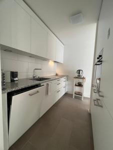 Best located & fully equipped apartment at Basel SBB main station في بازل: مطبخ أبيض مع حوض وثلاجة