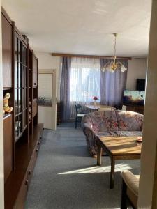 a living room with a couch and a table at Appartment nähe Linz in Puchenau