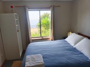 Un dormitorio con una cama azul y una ventana en Hostal Quiriyuca Sur, en Horcón