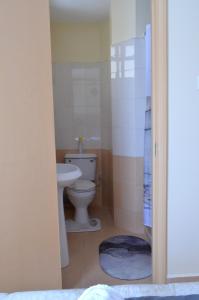 a bathroom with a toilet and a sink at Bright Box 1 br near JKIA in Nairobi
