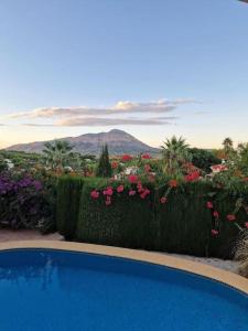 Elle offre une vue sur un jardin fleuri et une piscine. dans l'établissement Cosy Villa with Private Pool and Mountain View, à Benitachell