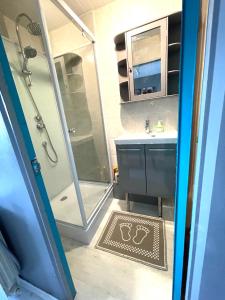 een badkamer met een douche en een wastafel bij Studio cosy indépendant avec Jardin à Osny proche Cergy Pontoise in Osny