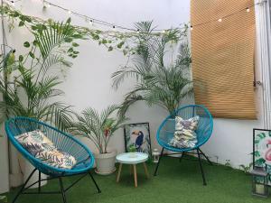 Ein Garten an der Unterkunft CASA PAPAGAYO