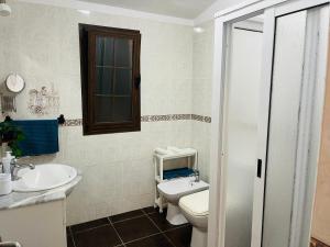een badkamer met een toilet en een wastafel bij Pintadera house Vulcano in Icod de los Vinos