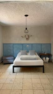 Φωτογραφία από το άλμπουμ του Lool Beh Hostal σε San Miguel de Allende