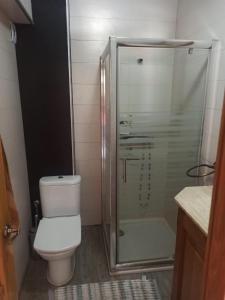 La salle de bains est pourvue de toilettes et d'une douche en verre. dans l'établissement Apartamento en la playa, à Górliz-Elexalde