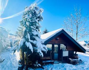 阿彭策尔Chalet - Kleines Paradies -的小屋前面有一棵雪覆盖的树