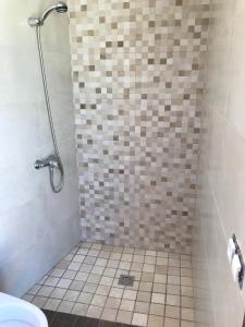 PeñaflorにあるLa sombra del lagartoのタイルフロアのバスルーム(シャワー付)