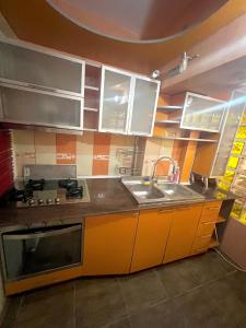 クラヨーヴァにあるMinerva apartament”sのシンクとカウンタートップのあるキッチン