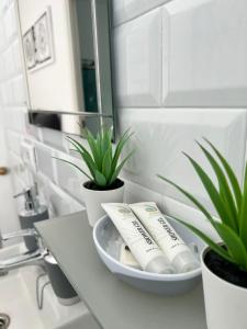 Un mostrador de baño con dos cepillos de dientes y plantas. en Casa Patio Paraíso, en Vejer de la Frontera