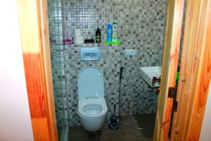 Ένα μπάνιο στο The Valley Bakuriani Didveli Apartment 304 +11 φωτογραφίες