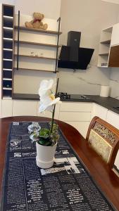 a white flower in a vase on a table at Private Apartament in Peshkopi, Albania in Peshkopi