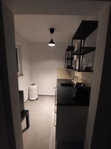 eine Küche mit einer Spüle und einer Arbeitsplatte in der Unterkunft Modern apartment cologne in Köln