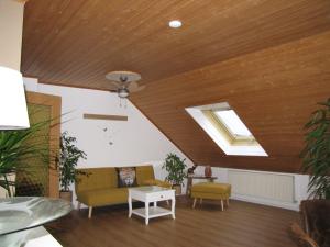 a living room with a couch and a skylight at LandLiebe in Tännesberg
