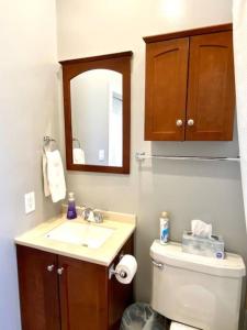 a bathroom with a toilet and a sink and a mirror at Lakeview Getaway in Chicago