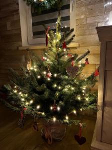 a christmas tree sitting on the floor with lights at oBłędne Chaty in Wünschelburg