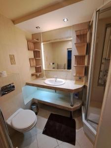 a bathroom with a sink and a toilet and a mirror at Apartament pod Basztą in Muszyna