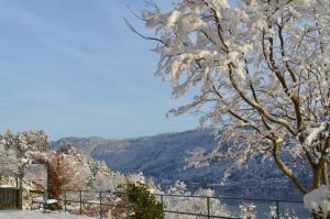 a snow covered tree with a view of a lake at Jaeger Guesthouse in Annenheim