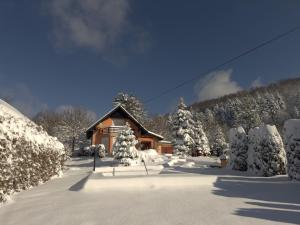 Villa Tratea v zimě