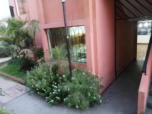 利馬的住宿－Acogedora Habitacion Independiente，前面有植物的粉红色建筑