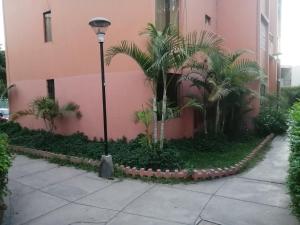 Acogedora Habitacion Independiente في ليما: مبنى وردي فيه أشجار نخيل وضوء الشارع