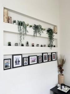una fila di immagini su scaffali con piante di Bright Spacious & Comfortable Hayes Valley Condo a San Francisco