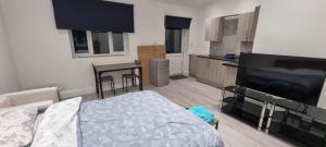 a living room with a bed and a flat screen tv at Ilford Towncentre Large Studio in Ilford