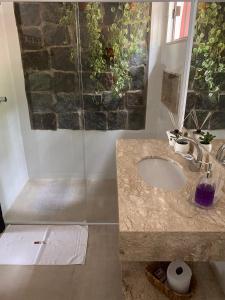 uma casa de banho com um lavatório e um chuveiro em Pousada Brisa do Vale em Ipiabas