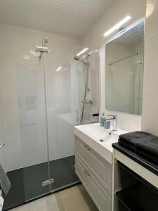 a bathroom with a sink and a glass shower at Appartement centre ville Milly-la-Forêt in Milly-la-Forêt