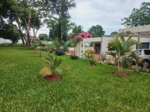 a yard with palm trees in front of a house at La Piña Dorada in San Lorenzo de la Frontera