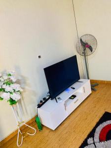 una TV su un mobile bianco con un vaso di fiori di Cotonou dwelling AAC 1 a Porto-Novo