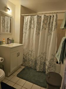 a bathroom with a shower curtain and a sink at Private romantic apartment in fellspoint 2min from fellspoint night bars in Baltimore