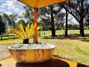 Fotografie z fotogalerie ubytování Lima Lodge v destinaci Swanpool + 13 fotografií