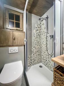 a bathroom with a toilet and a shower at Gstaad Chalet in Gstaad