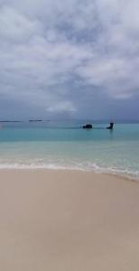 einen Strand mit blauem Wasser und eine Insel in der Ferne in der Unterkunft Cabaña tradiconal en isla Perro chico San blas in Wagsalatupo Grande