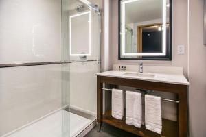 戴德伍德Four Points by Sheraton Deadwood的带水槽和淋浴的浴室