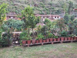 a row of pots of plants in a garden at Cozy private home overlooking the Vilcanota river in Pisac