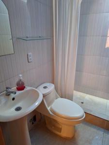 ein Bad mit einem WC, einem Waschbecken und einer Dusche in der Unterkunft Cozy home with garden overlooking the Vilcanota river in Pisac